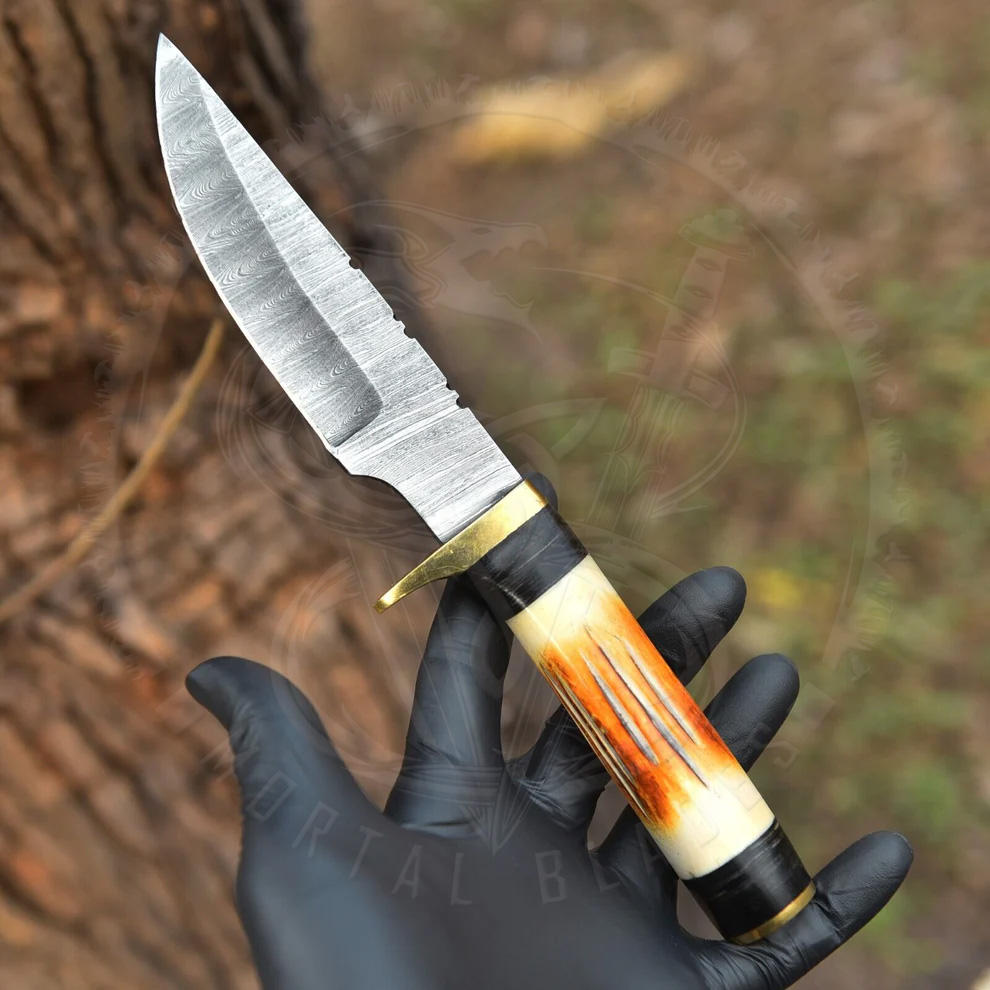 กระดูกอูฐ