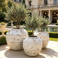 Pot de fleurs en ciment rustique vintage classique européen, sculpté à la main, pour plantes d'extérieur/intérieur, vente en gros pour la maison et le jardin