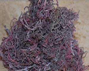 100% algues naturelles à cartilage violet du Vietnam / Ms.Katty - Product Image 3