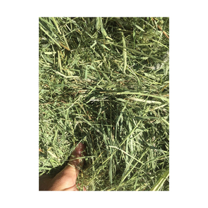 Bán Nóng! Hỗn hợp hay cỏ linh lăng viên mất nước <span class=keywords><strong>Alfalfa</strong></span> khối cho ngựa gia súc lợn tốt và giá rẻ cung cấp số lượng lớn - Product Image 4