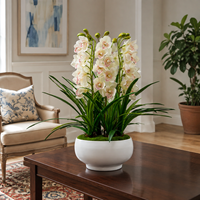 Orchidée Cymbidium Artificielle 65cm Rose et Blanche en Soie avec Pot en Céramique Blanc pour Centre de Table Vente en Gros
