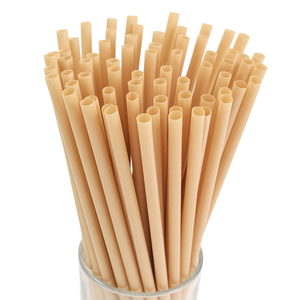 Pajita de Caña de Azúcar Ecológica Envasada Individualmente en Papel con Logotipo Personalizado para Viajes - Product Image 1