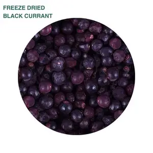 Made In Italy Bulk Wholesale Nutrient Natural Crunchy Healthy Snack Freeze Dried Black Currant Whole Pieces