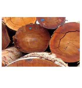 Offre spéciale sur les bûches en vrac Bubinga Teck Pin Chêne Bois pour le travail du bois rond Motif Timbers - Product Image 3