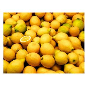 Limón Orgánico Natural de Calidad 100% Fresco, Grado A, Color Amarillo, Fruta Cítrica de Venta Caliente, Compre al Mayorista de Portugal - Product Image 3