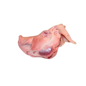 หัวหมูแช่แข็งคุณภาพดี (หัวทั้งตัวพร้อมหูและลิ้น) มีจำหน่ายจำนวนมาก สินค้าสดใหม่ ราคาขายส่ง - Product Image 2