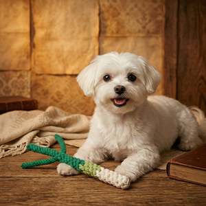 Juguete de Cuerda para Perro Hecho a Mano con Diseño de Cebolla Verde, Estilo de Dibujos Animados - Product Image 4