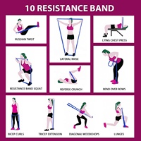 Bandas de Resistencia VIGFIT de Nuevo Color para Ejercicios de Estiramiento y Entrenamiento Corporal, Juego de Bandas de Resistencia Gruesas y Resistentes