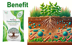 Fertilizante de vermicompost orgánico ecológico, estiércol a base de plantas para césped, jardines y aplicaciones comerciales de horticultura - Product Image 6