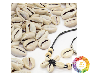 Natural Cowrie Shell Beads White <b>Seashell</b> Decor Cowrie Shells From Vietnam Beach Craft With Competitive Price In bulk <b>for</b> <b>sale</b> - Product Image 4