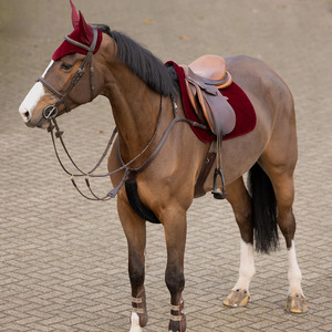 Protector de Orejas para Caballo de Alta Calidad, Velo Antimoscas de Ganchillo, Red para Orejas, Gorro de Ganchillo con Cubiertas de Neopreno para Orejas, Protector de Orejas para Caballo Colorido en Venta - Product Image 2