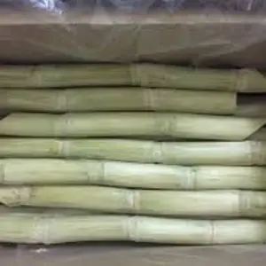 Fresh sugarcane Organic HIGH QUALITY - LOW PRICE Raw Wholesale for export