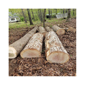 Seasoned beech <b>wood</b> <b>logs</b> for sale perfect for fireplaces <b>wood</b> <b>burning</b> stoves outdoor fire pits and eco friendly heating - Product Image 6