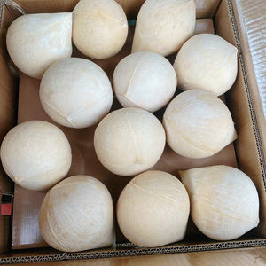 Coco Entero Pulido de Vietnam - Color Natural, Calidad Alimentaria - Product Image 1