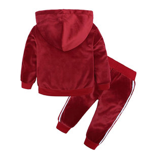 Survêtement de gym personnalisé 100% coton pour hommes, pantalon de survêtement à capuche pour l'hiver, ensembles de costume à capuche de couleur unie, poids lourd, vente en gros - Product Image 2