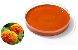 ลูทีนเอสเตอร์เอสเทอร์โรงงานผลิตโดยตรงสำหรับอุตสาหกรรมอาหารและเครื่องดื่มส่งออกทั่วโลก - Product Image 2