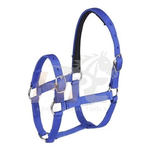 Professional High Quality Outdoor Equestrian Adjustable <b>Halters</b> Multi Color Customization Accepted Horse Riding Adjustable Chain - Product Image 1