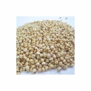 Fabricants De Grains De Sorgho En Thaïlande - Product Image 6