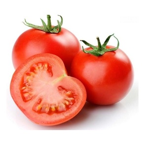 Tomates Frescos de Temporada, Deliciosos Tomates Rojos de Alta Calidad - Product Image 2