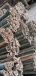 Decoración de alta calidad Split Nature Bamboo Slats Outdoor-Materia prima Bamboo Sticks Bamboo Split Wholesale - Product Image 5