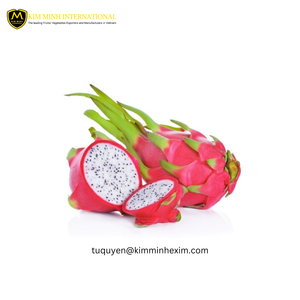 IQF Dragon Fruit Sweet Taste-Productos congelados de Vietnam (trozos, bloques, dados, rebanadas) - Product Image 2