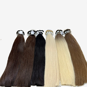 Venta al por mayor Virgen Extensiones humanas Natural Recta Máquina de punta plana Tejido de trama doble 100% Virgen Vietnamita Variedad cruda - Product Image 1