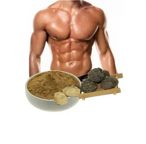 Capsule d'extrait de racine de Tongkat Ali organique pur de qualité supérieure avec emballage personnalisé au prix de gros de l'Inde - Product Image 1