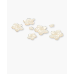Flor de Perla Blanca Suelta MOP - Product Image 4