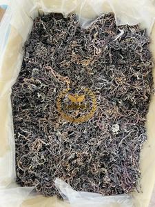 Eucheuma cottonii ผลิตภัณฑ์สาหร่ายทะเลแห้งจากเวียดนาม - Product Image 4