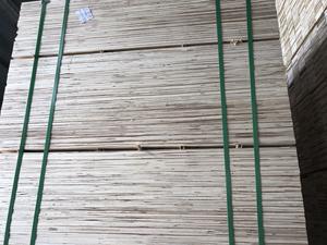 Madera Contrachapada de Eucalipto (LVL) para Uso en Interiores, Espesor 11 mm 120 mm - Product Image 3