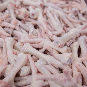 Parte de corte de patas de pollo congeladas frescas al por mayor de proveedor confiable empaquetado a granel para pedidos de exportación - Product Image 3