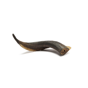 Cuerno de avena de 100% AW y forma natural para Polished hofar Orn decorativo hofar Orn para uso hecho a mano para el mejor precio - Product Image 1