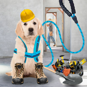 Kit Guinzaglio e Pettorina di Lusso per Cani di Taglia Media, Personalizzabile, in Poliestere a Righe o Tinta Unita, Modello Semplice per Uso Esterno, Taglie Grandi e XL - Product Image 1