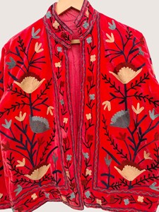 Manteau en velours brodé de fleurs de style chinois, col mandarin, manches longues, grande taille, vêtements d'extérieur d'hiver pour femmes - Product Image 5