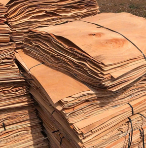 Placage naturel en bois d'eucalyptus pelé pour un design d'intérieur traditionnel pour une utilisation en cuisine coupé avec la technique rotative - Product Image 1