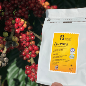 Café vert Arabica du Vietnam en marque blanche, approvisionnement en vrac OEM, processus de lavage au miel, haute qualité, prêt à l'exportation en gros - Product Image 3