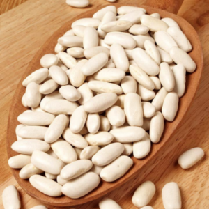 GRANDS HARICOTS BLANCS | ORIGINE DU VIETNAM | POUR L'INDUSTRIE DE LA CONSERVE - Product Image 6