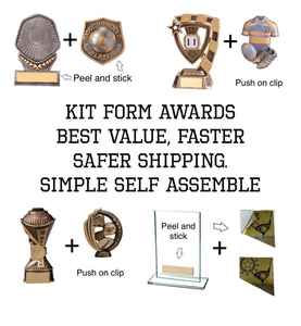 Premio Trofeo de Oro Personalizado con Inserto Personalizado Características Ecológicas Grabado Personalizado - Product Image 2