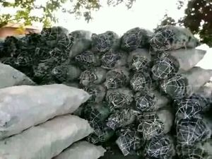 Carbón de madera dura (barbacoa, parrilla, restaurante) - Product Image 4