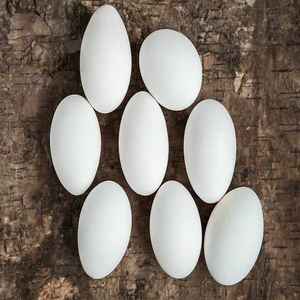 Œufs frais de la ferme indienne de qualité supérieure à coque blanche du Tamil Nadu riches en nutriments et en calcium, meilleurs pour la santé - Product Image 6