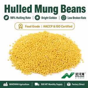 Haricots mungo décortiqués de qualité alimentaire, taux de décorticage de 98 % |   Pâte de haricots de qualité |   Bas niveau de réserves |   Vente en gros - Product Image 1