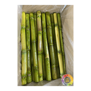 La canne à sucre congelée naturelle bloque la bonté non traitée pure du Vietnam pour la production d'aliments frais - Product Image 2