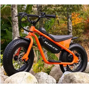 Fat Tire Electric Bike 16" 1000W Electric Bicycle Electric Folding Bikes Bicycle Electric Fat Bike Motor Moped Ebike