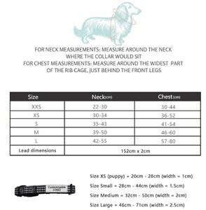 เสื้อกั๊กป้องกันการแตกเชือกสำหรับสุนัขพร้อมสายรัดสำหรับสัตว์เลี้ยงลายเท็ดดี้ - Product Image 3