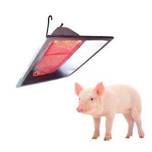 Vendite di fabbrica <span class=keywords><strong>Gas</strong></span>, lpl infrarossi irradiante irradiante e Brooder per pulcini di un giorno e vecchi polli da carne THD2606 - Product Image 3