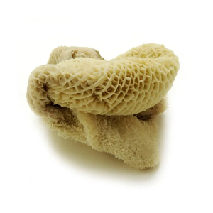Venta al por mayor de carne orgánica Omasum Frozen Bulk Body Part Proveedores del Reino Unido-Ingredientes naturales de alta proteína - Product Image 5