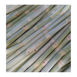 Caña de azúcar congelada de alta calidad, dulce, fresca y limpia, ideal para exportadores de bebidas, fábricas de jugos y productores de bebidas - Product Image 4