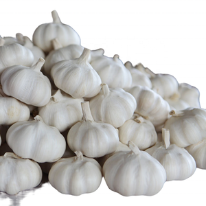 New Crop Organic <b>Fresh</b> <b>Garlic</b> in Bulk for Food Usage Available for Wholesale - Product Image 5