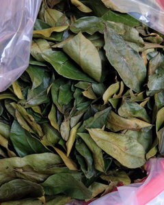 TÉ DE HOJA DE GUANÁBANA ORGÁNICA / EXPORTACIÓN DE VIETNAM - Product Image 5