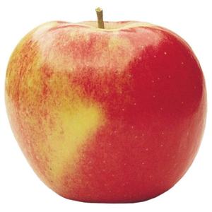 Manzanas Rojas Frescas de Nueva Cosecha, Manzanas Fuji Frescas, Precio de Fábrica - Product Image 1